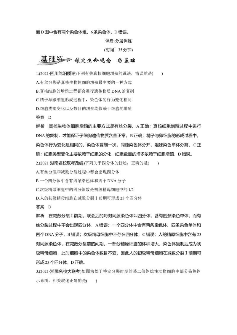 第11讲　减数分裂和受精作用_新高考复习资料_2023年新高考复习资料_一轮复习_2023年新高考大一轮复习讲义_2023年高考生物一轮复习讲义（新人教新高考）_赠补充习题