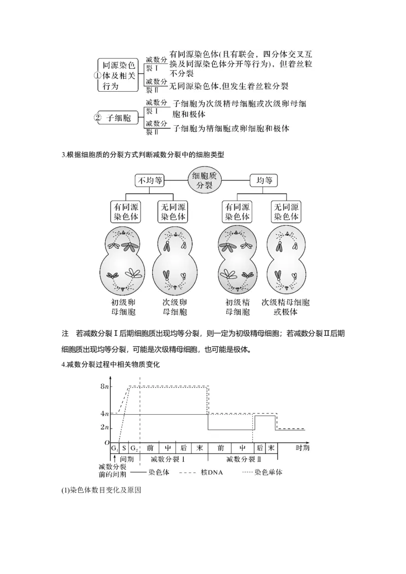 第11讲　减数分裂和受精作用_新高考复习资料_2023年新高考复习资料_一轮复习_2023年新高考大一轮复习讲义_2023年高考生物一轮复习讲义（新人教新高考）_赠补充习题