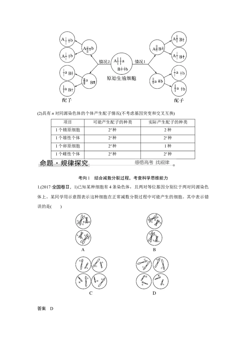第11讲　减数分裂和受精作用_新高考复习资料_2023年新高考复习资料_一轮复习_2023年新高考大一轮复习讲义_2023年高考生物一轮复习讲义（新人教新高考）_赠补充习题