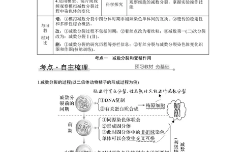 第11讲　减数分裂和受精作用_新高考复习资料_2023年新高考复习资料_一轮复习_2023年新高考大一轮复习讲义_2023年高考生物一轮复习讲义（新人教新高考）_赠补充习题