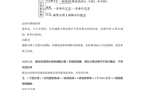 第11讲　减数分裂和受精作用_新高考复习资料_2023年新高考复习资料_一轮复习_2023年新高考大一轮复习讲义_2023年高考生物一轮复习讲义（新人教新高考）_赠补充习题