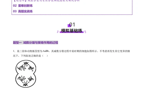 第13讲减数分裂和受精作用（练习）（解析版）_2025年新高考资料_一轮复习_2025年高考生物一轮复习讲练测（新教材新高考）