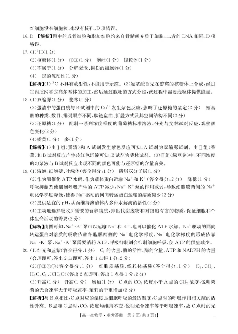 生物学答案(1)_2025年02月试卷_0221河南省名校大联考2024-2025学年高一下学期开学测试_河南省名校大联考2024-2025学年高一下学期开学考试生物学试题（pdf版，含解析）