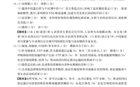 生物学答案(1)_2025年02月试卷_0221河南省名校大联考2024-2025学年高一下学期开学测试_河南省名校大联考2024-2025学年高一下学期开学考试生物学试题（pdf版，含解析）
