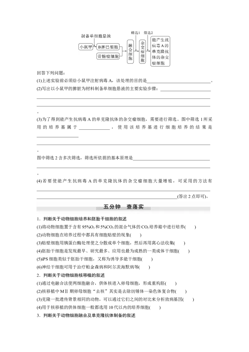 第10单元　第4课时　动物细胞工程_新高考复习资料_2024年新高考复习资料_一轮复习资料_完2024生物步步高大一轮复习（课件+讲义）_2024年高考生物一轮复习讲义（新人教版）