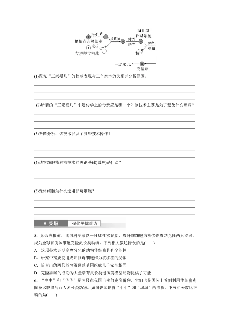 第10单元　第4课时　动物细胞工程_新高考复习资料_2024年新高考复习资料_一轮复习资料_完2024生物步步高大一轮复习（课件+讲义）_2024年高考生物一轮复习讲义（新人教版）