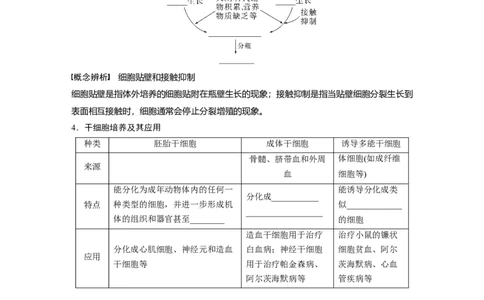 第10单元　第4课时　动物细胞工程_新高考复习资料_2024年新高考复习资料_一轮复习资料_完2024生物步步高大一轮复习（课件+讲义）_2024年高考生物一轮复习讲义（新人教版）