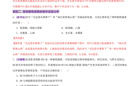 第13讲+植物生命活动的调节（专项训练，3大题型）（解析版）_2025年新高考资料_二轮复习_01高考语文等多个文件_上好课2025年高考生物二轮复习讲练测（新高考通用）