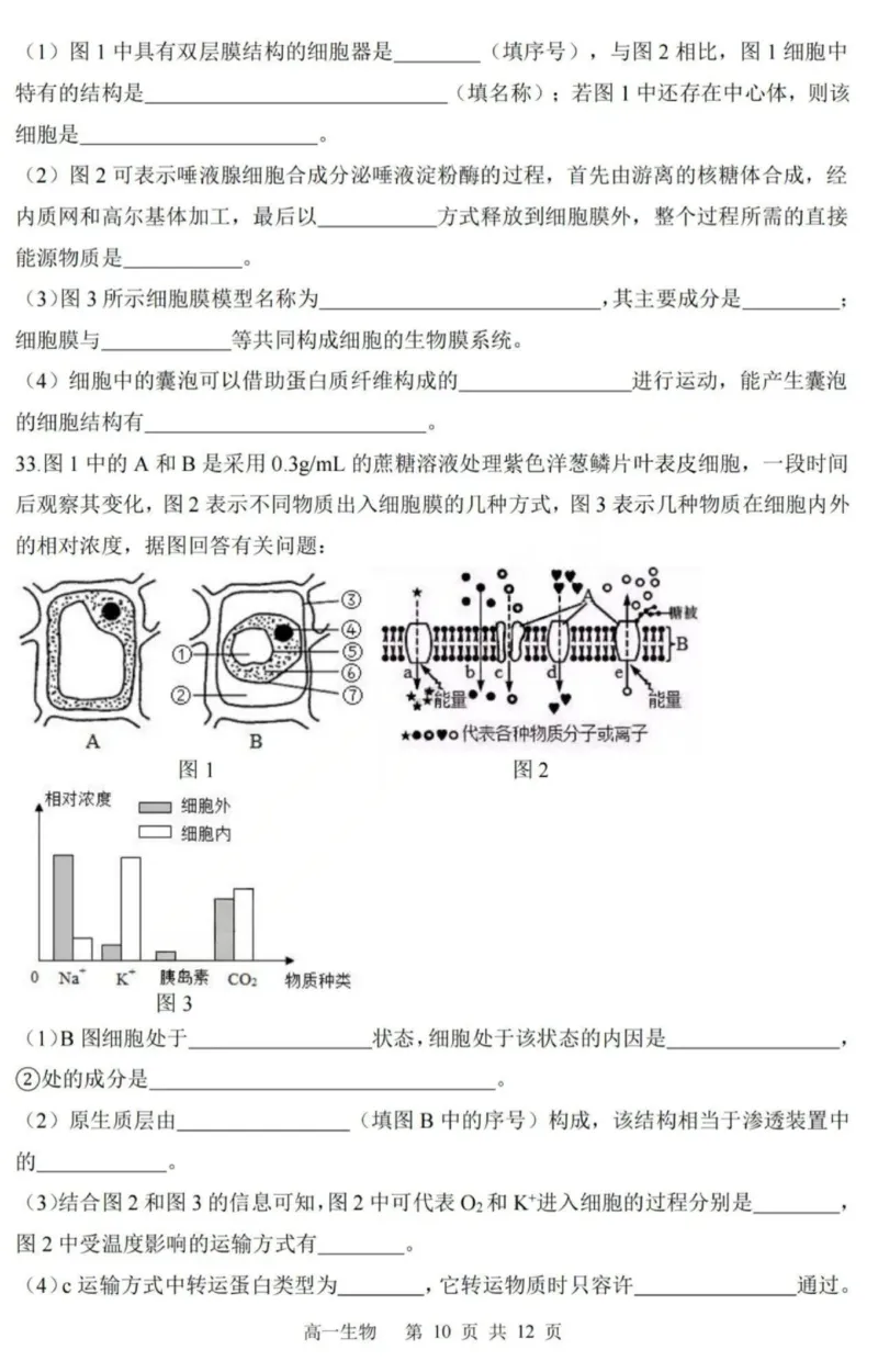 生物-黑龙江省哈三中2025-2026学年高一上学期12月月考_2025年12月高一试卷_251213黑龙江省哈三中2025-2026学年高一上学期12月月考