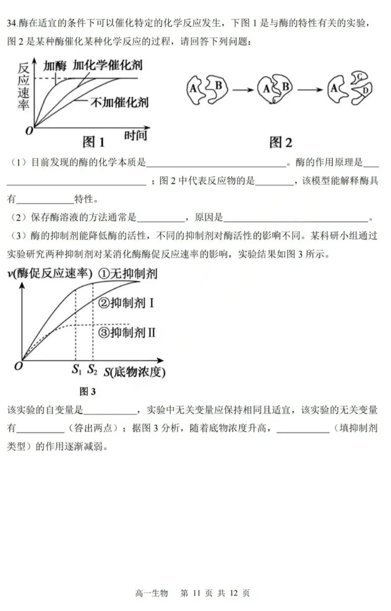 生物-黑龙江省哈三中2025-2026学年高一上学期12月月考_2025年12月高一试卷_251213黑龙江省哈三中2025-2026学年高一上学期12月月考