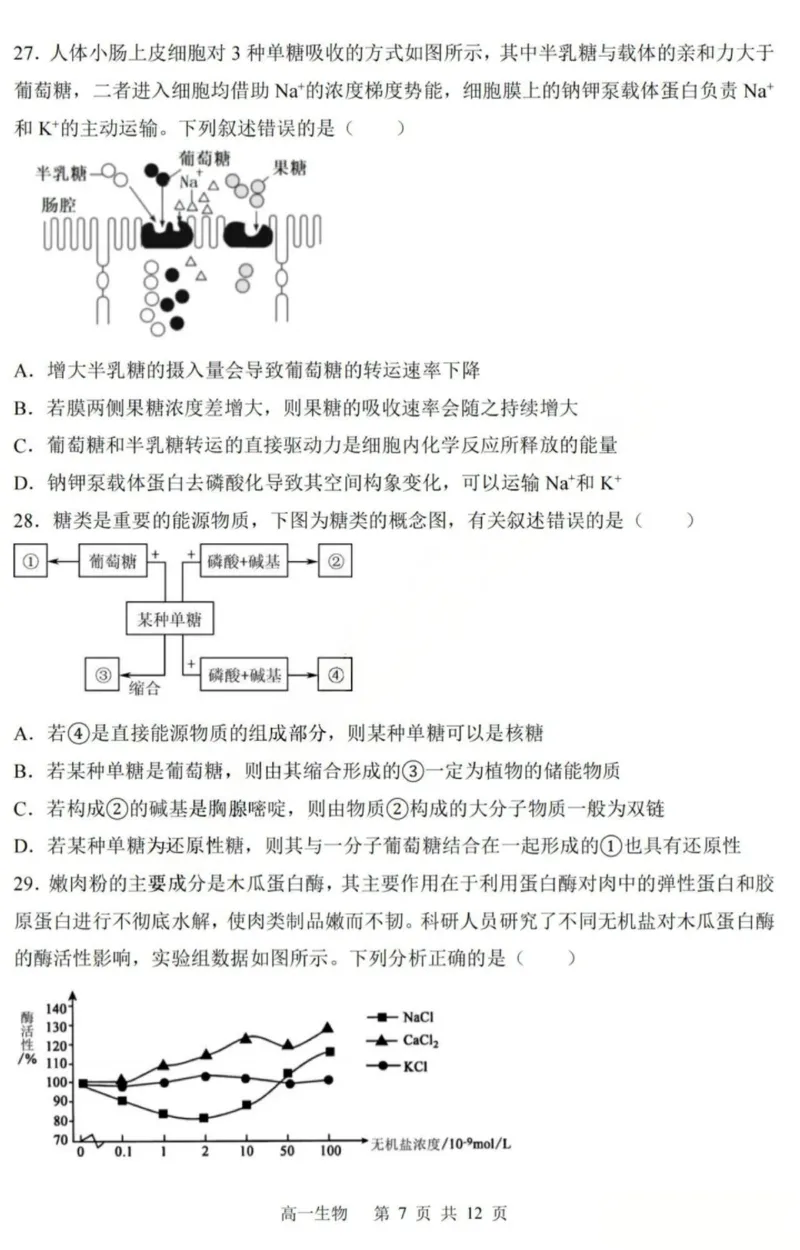 生物-黑龙江省哈三中2025-2026学年高一上学期12月月考_2025年12月高一试卷_251213黑龙江省哈三中2025-2026学年高一上学期12月月考