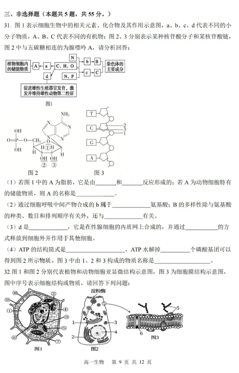 生物-黑龙江省哈三中2025-2026学年高一上学期12月月考_2025年12月高一试卷_251213黑龙江省哈三中2025-2026学年高一上学期12月月考