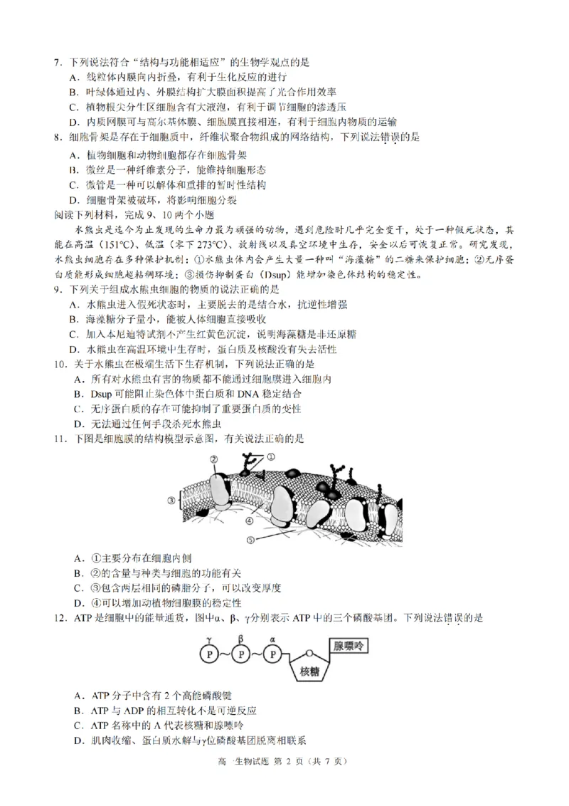 生物卷-2511高一9+1联盟_2025年12月高一试卷_251205浙江省9+1联盟2025-2026学年高一上学期期中考试（全）_浙江省9+1高中联盟2025-2026学年高一上学期11月期中考试生物试题（图片版，含答案）