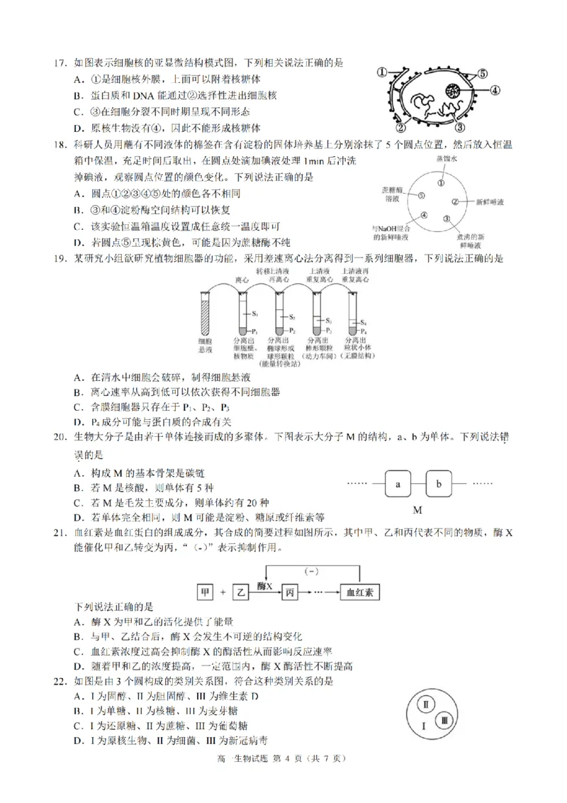 生物卷-2511高一9+1联盟_2025年12月高一试卷_251205浙江省9+1联盟2025-2026学年高一上学期期中考试（全）_浙江省9+1高中联盟2025-2026学年高一上学期11月期中考试生物试题（图片版，含答案）