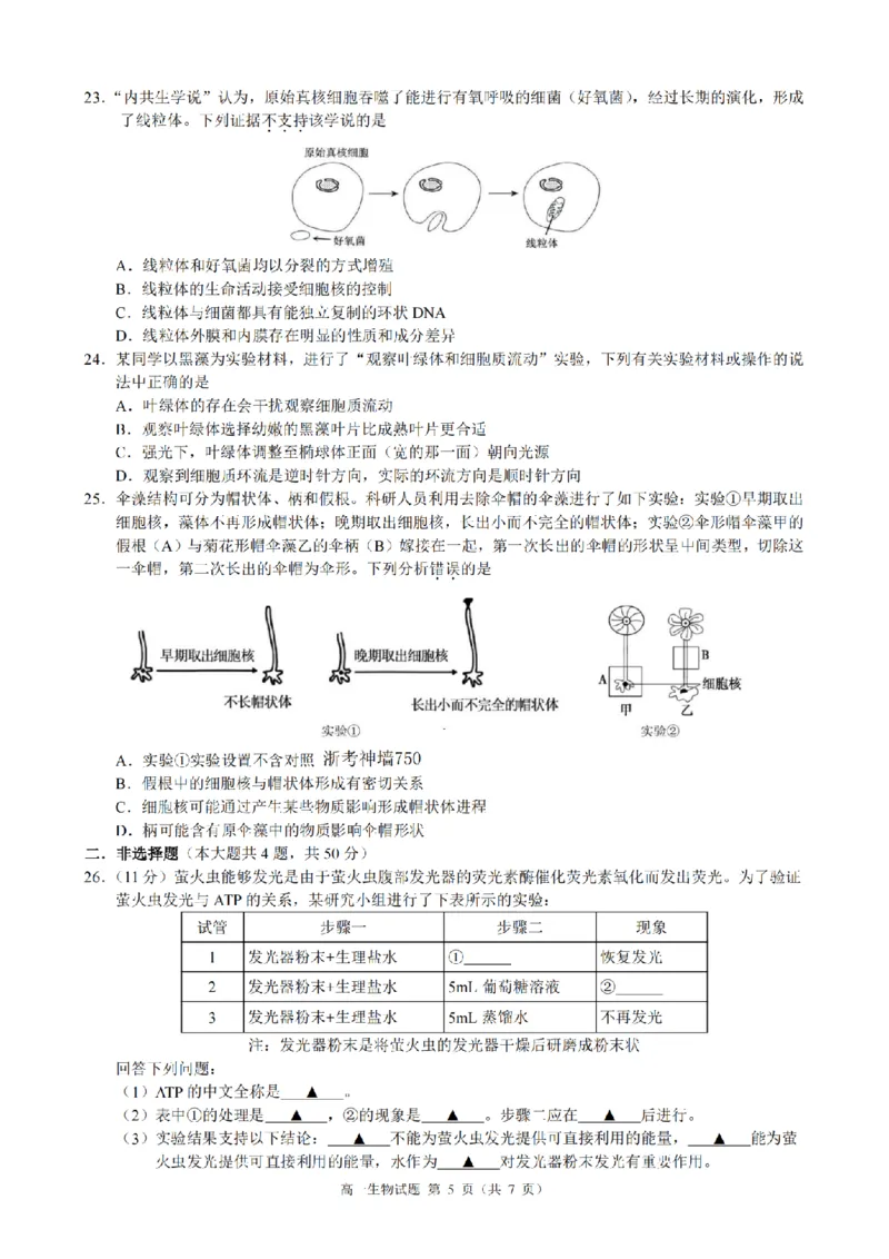 生物卷-2511高一9+1联盟_2025年12月高一试卷_251205浙江省9+1联盟2025-2026学年高一上学期期中考试（全）_浙江省9+1高中联盟2025-2026学年高一上学期11月期中考试生物试题（图片版，含答案）