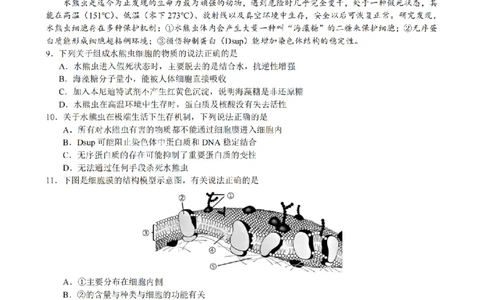 生物卷-2511高一9+1联盟_2025年12月高一试卷_251205浙江省9+1联盟2025-2026学年高一上学期期中考试（全）_浙江省9+1高中联盟2025-2026学年高一上学期11月期中考试生物试题（图片版，含答案）