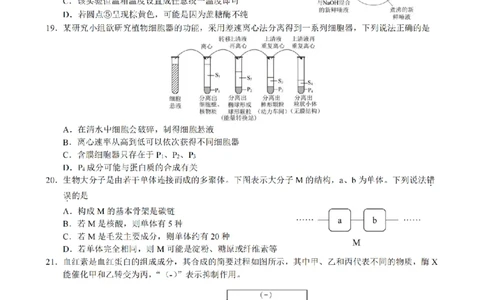 生物卷-2511高一9+1联盟_2025年12月高一试卷_251205浙江省9+1联盟2025-2026学年高一上学期期中考试（全）_浙江省9+1高中联盟2025-2026学年高一上学期11月期中考试生物试题（图片版，含答案）