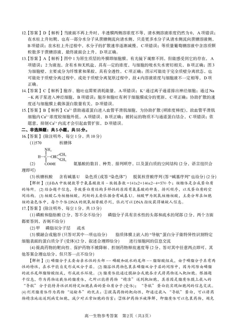 生物答案&middot;2025年12月高一阶段考_2025年12月高一试卷_251227安徽省皖江名校联盟2025-2026学年高一上学期12月联考（全科）