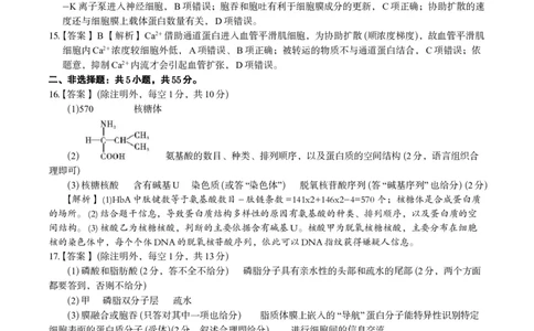生物答案&middot;2025年12月高一阶段考_2025年12月高一试卷_251227安徽省皖江名校联盟2025-2026学年高一上学期12月联考（全科）