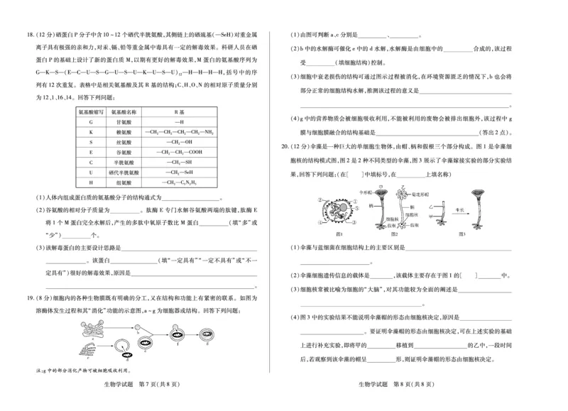生物学天一大联考&middot;安徽省2025-2026学年高一上学期期中联考_2025年11月高一试卷_251123天一大联考&middot;安徽省2025-2026学年高一上学期期中联考（全）