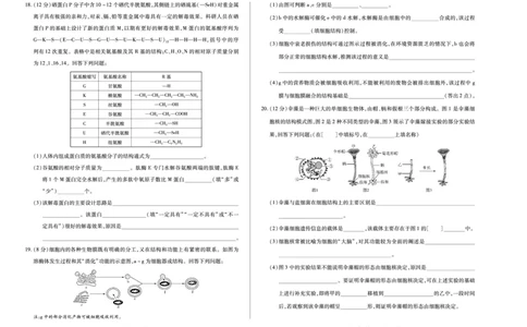 生物学天一大联考&middot;安徽省2025-2026学年高一上学期期中联考_2025年11月高一试卷_251123天一大联考&middot;安徽省2025-2026学年高一上学期期中联考（全）