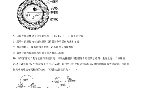 生物太原市外国语学校2024-2025学年高一上学期10月考诊断（卷）_2025年10月高一试卷_251024山西省太原市外国语学校2024-2025学年高一上学期10月考诊断