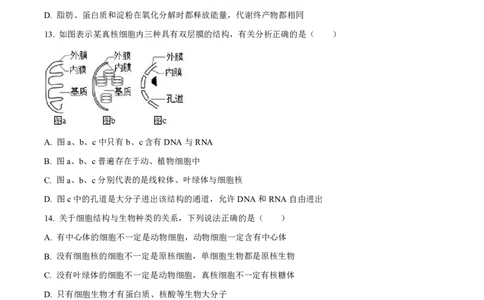 生物太原市外国语学校2024-2025学年高一上学期10月考诊断（卷）_2025年10月高一试卷_251024山西省太原市外国语学校2024-2025学年高一上学期10月考诊断