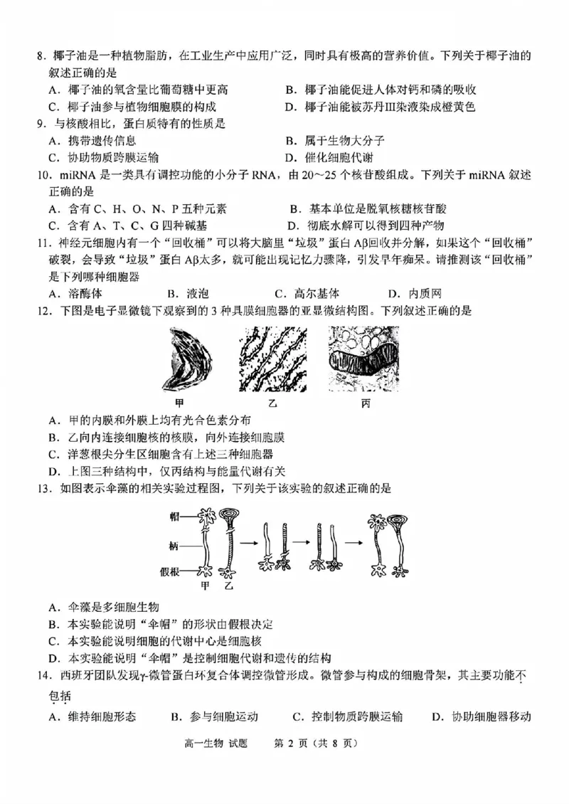 生物试题_2025年11月高一试卷_251125浙江衢州五校联盟2025年11月高一期中联考（全）