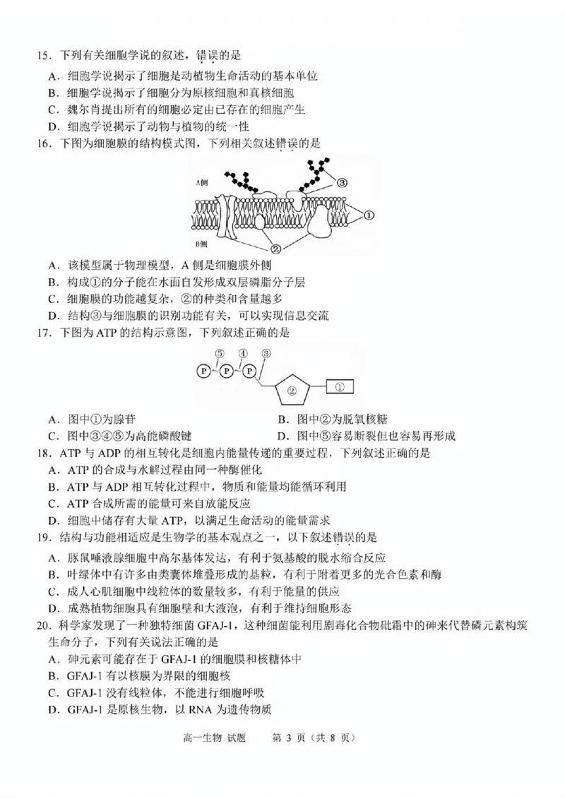 生物试题_2025年11月高一试卷_251125浙江衢州五校联盟2025年11月高一期中联考（全）