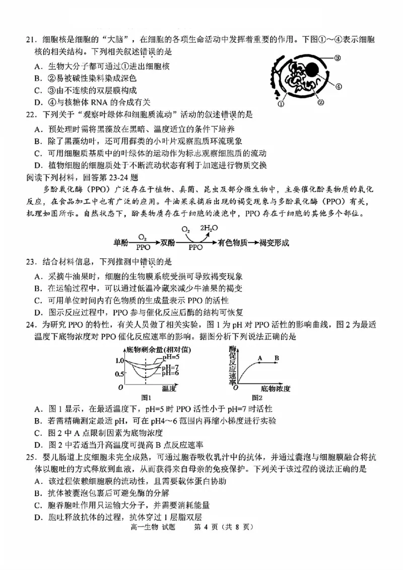 生物试题_2025年11月高一试卷_251125浙江衢州五校联盟2025年11月高一期中联考（全）