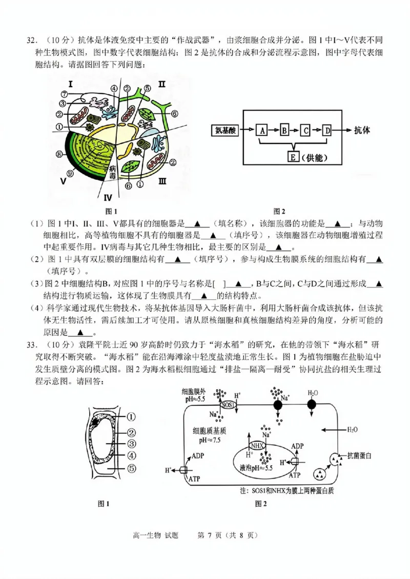 生物试题_2025年11月高一试卷_251125浙江衢州五校联盟2025年11月高一期中联考（全）