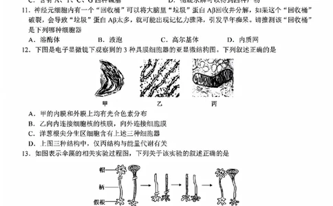 生物试题_2025年11月高一试卷_251125浙江衢州五校联盟2025年11月高一期中联考（全）