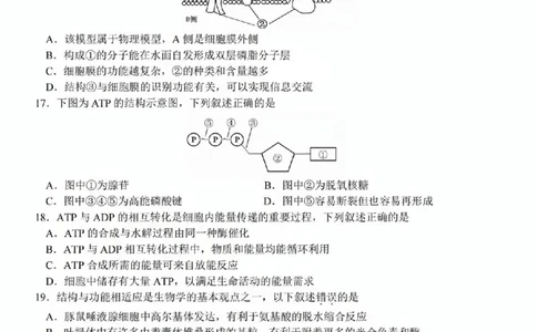生物试题_2025年11月高一试卷_251125浙江衢州五校联盟2025年11月高一期中联考（全）