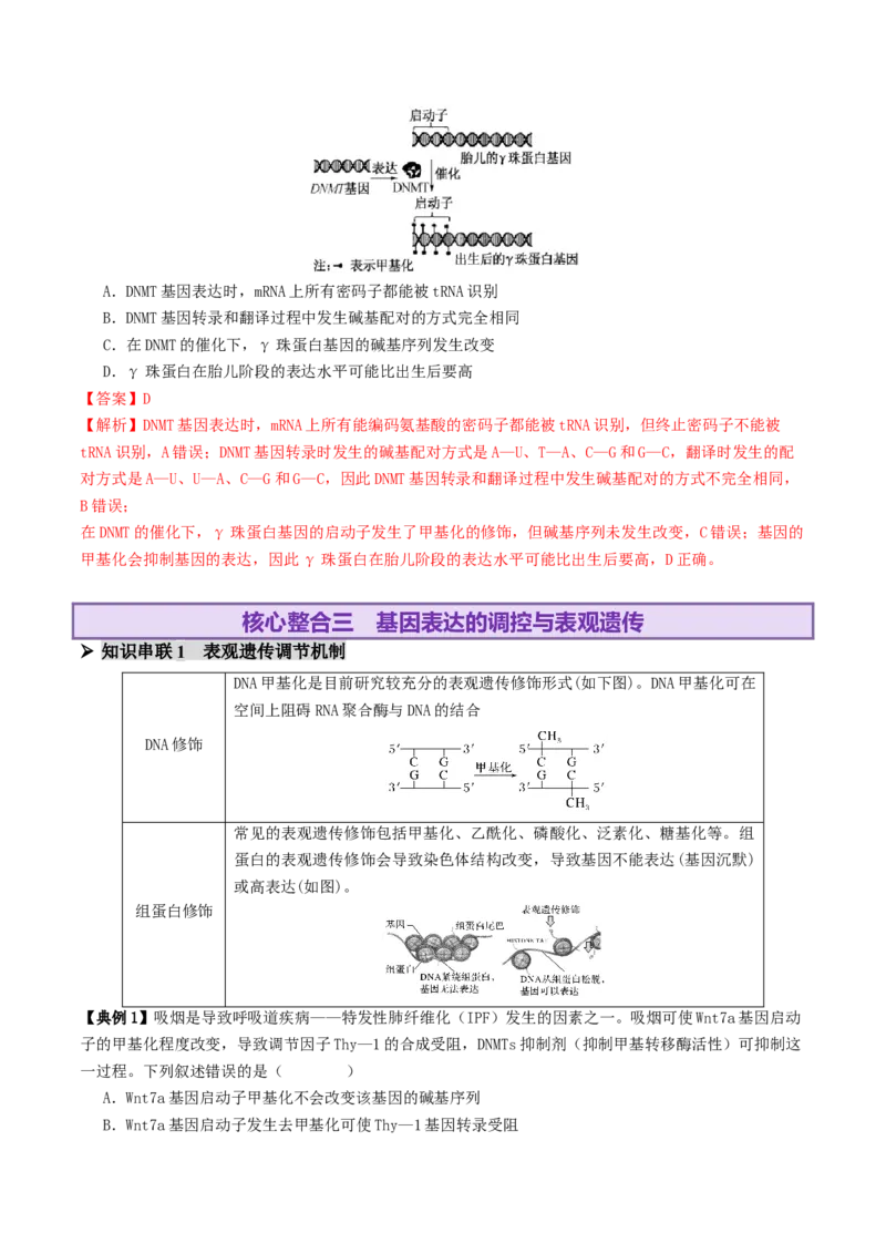 第09讲基因的本质和表达（配套讲义）（解析版）_2025年新高考资料_二轮复习_上好课2025年高考生物二轮复习讲练测（新高考通用）3380526