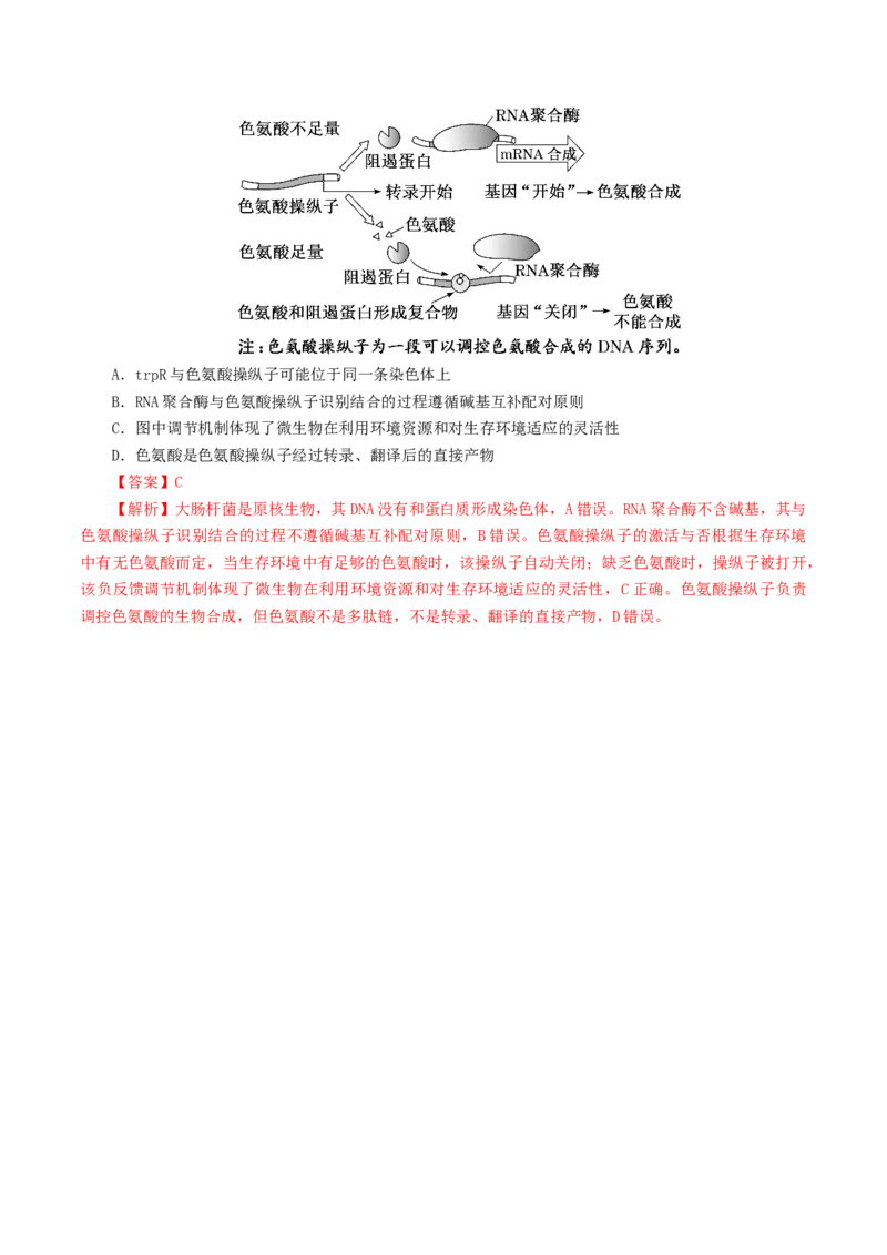 第09讲基因的本质和表达（配套讲义）（解析版）_2025年新高考资料_二轮复习_上好课2025年高考生物二轮复习讲练测（新高考通用）3380526