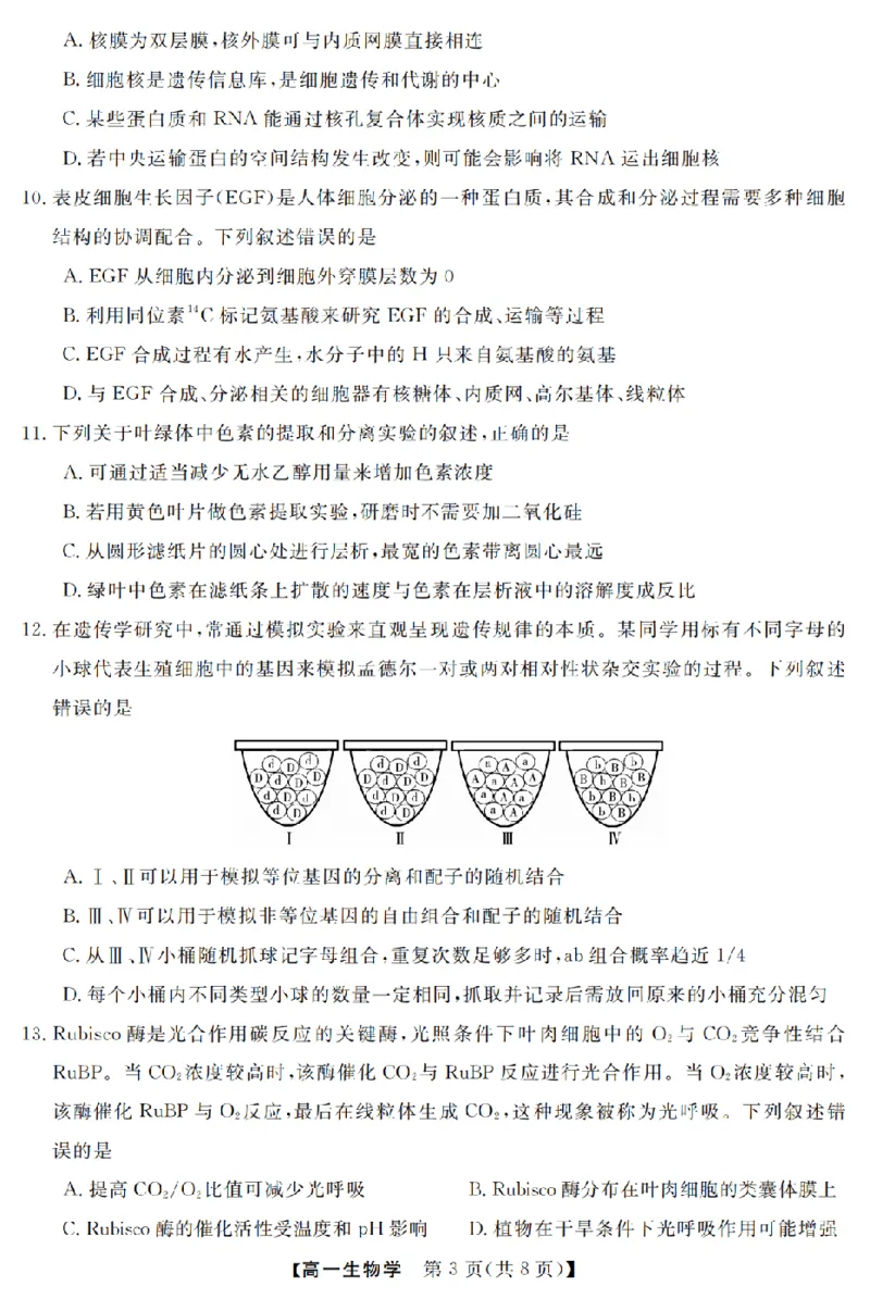 生物卷-2603高一强基联盟_2026年03月高一试卷_260308浙江强基联盟2026年3月高一联考