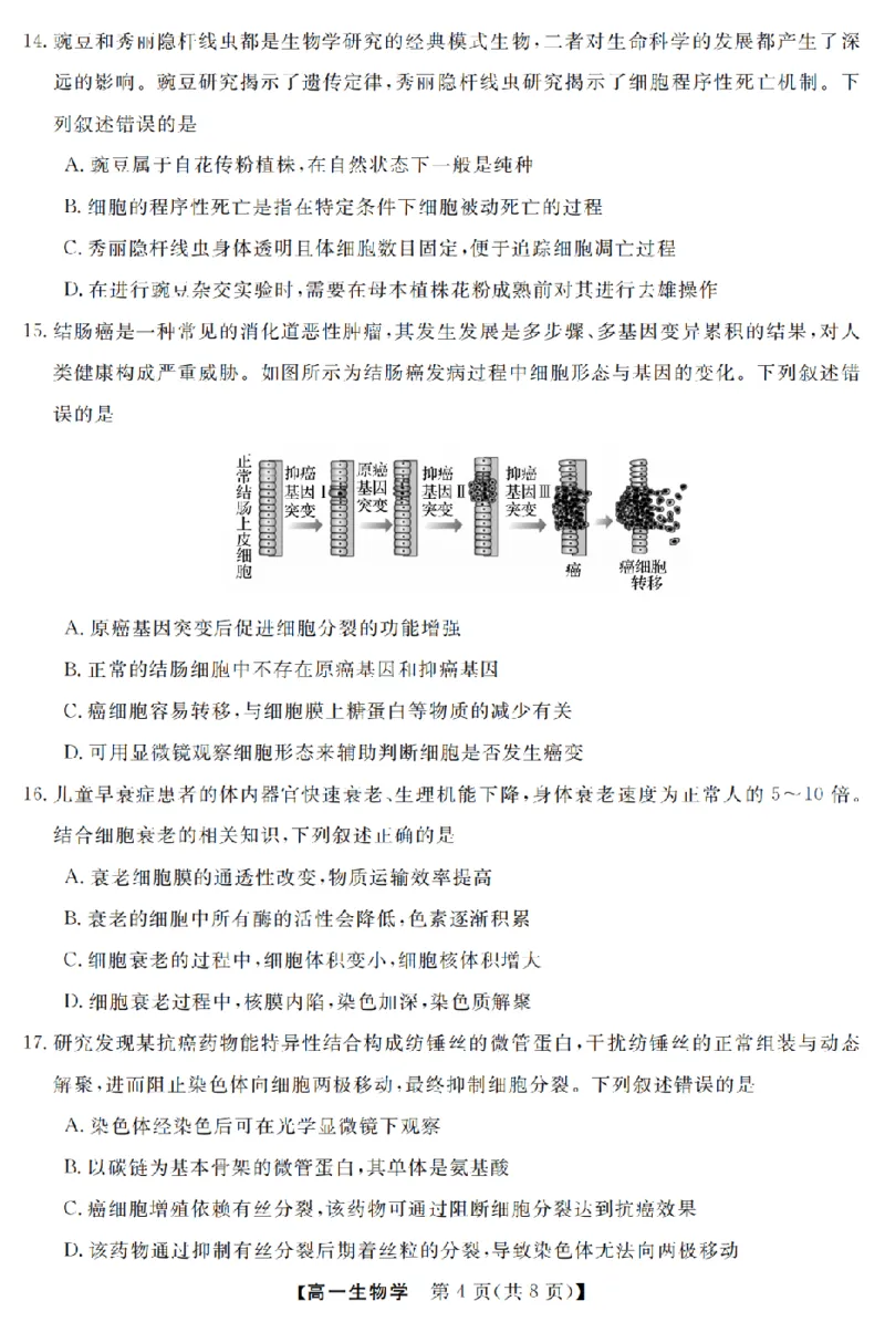 生物卷-2603高一强基联盟_2026年03月高一试卷_260308浙江强基联盟2026年3月高一联考