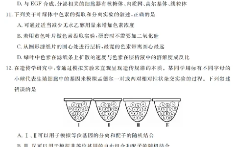 生物卷-2603高一强基联盟_2026年03月高一试卷_260308浙江强基联盟2026年3月高一联考