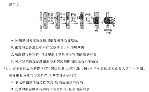 生物卷-2603高一强基联盟_2026年03月高一试卷_260308浙江强基联盟2026年3月高一联考