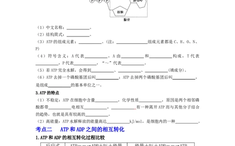 第14讲细胞的能量&ldquo;货币&rdquo;ATP-精准备考备战2023年高考生物一轮复习精品讲义（生物学必修1）（原卷版）_通用版（老高考）复习资料_2023年复习资料_一轮复习