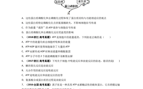 第14讲细胞的能量&ldquo;货币&rdquo;ATP-精准备考备战2023年高考生物一轮复习精品讲义（生物学必修1）（原卷版）_通用版（老高考）复习资料_2023年复习资料_一轮复习