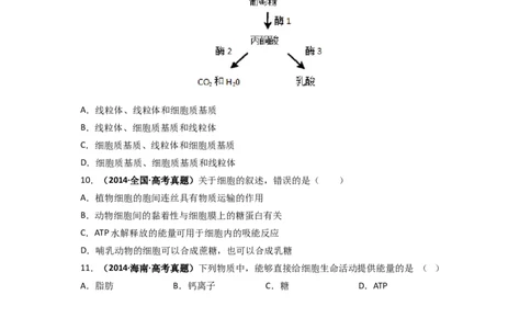 第14讲细胞的能量&ldquo;货币&rdquo;ATP-精准备考备战2023年高考生物一轮复习精品讲义（生物学必修1）（原卷版）_通用版（老高考）复习资料_2023年复习资料_一轮复习