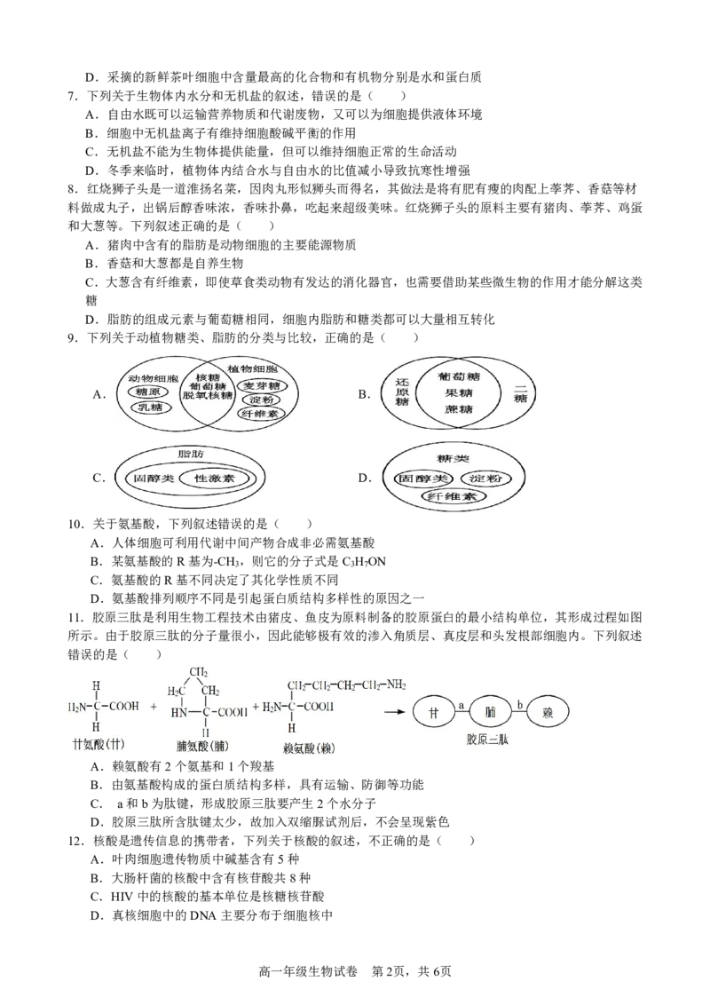 生物试卷_2025年11月高一试卷_251128安徽合肥市六校联盟2025年秋季学期高一期中考试