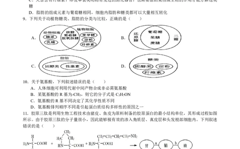 生物试卷_2025年11月高一试卷_251128安徽合肥市六校联盟2025年秋季学期高一期中考试