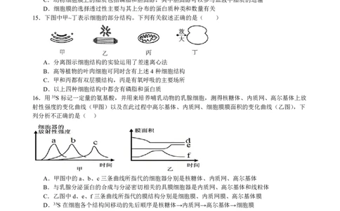 生物试卷_2025年11月高一试卷_251128安徽合肥市六校联盟2025年秋季学期高一期中考试