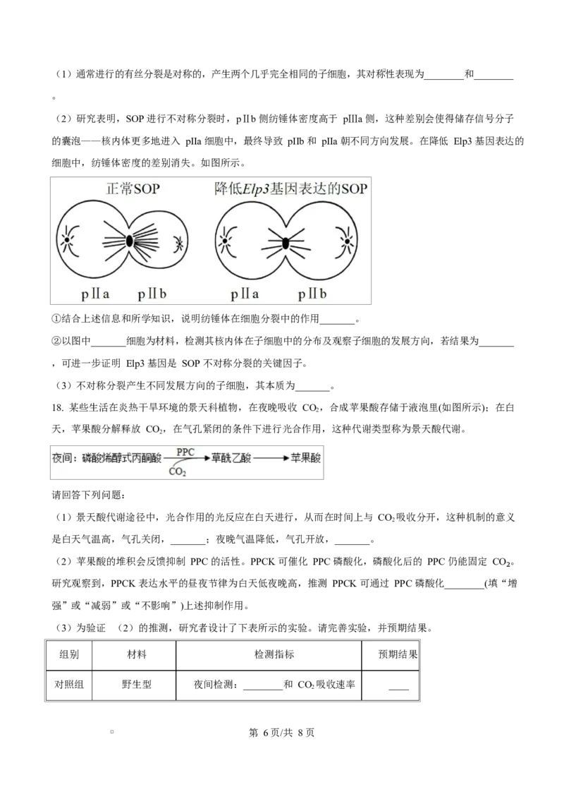 福建省厦门市2024-2025学年高一上学期1月期末生物试题Word版无答案_2025年03月试卷_0303福建省厦门市2024-2025学年高一上学期1月期末考试