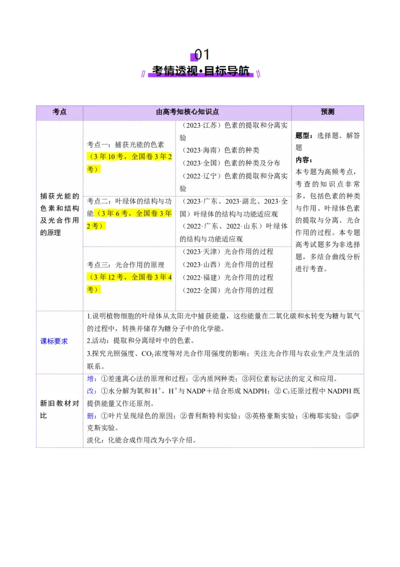 第10讲光合作用（第一课时）（讲义）（解析版）_新高考复习资料_2025年新高考资料_2025年高考生物一轮复习讲练测（新教材新高考）
