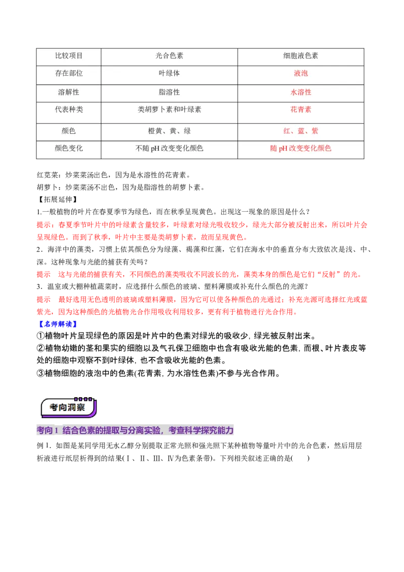 第10讲光合作用（第一课时）（讲义）（解析版）_新高考复习资料_2025年新高考资料_2025年高考生物一轮复习讲练测（新教材新高考）