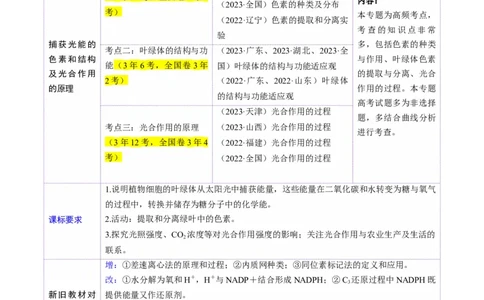 第10讲光合作用（第一课时）（讲义）（解析版）_新高考复习资料_2025年新高考资料_2025年高考生物一轮复习讲练测（新教材新高考）