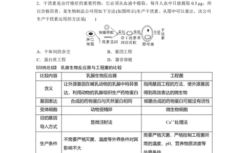 第10单元　第7课时　基因工程的应用和蛋白质工程_新高考复习资料_2024年新高考复习资料_一轮复习资料_完2024生物步步高大一轮复习（课件+讲义）_学生版在此文件夹_大一轮复习讲义